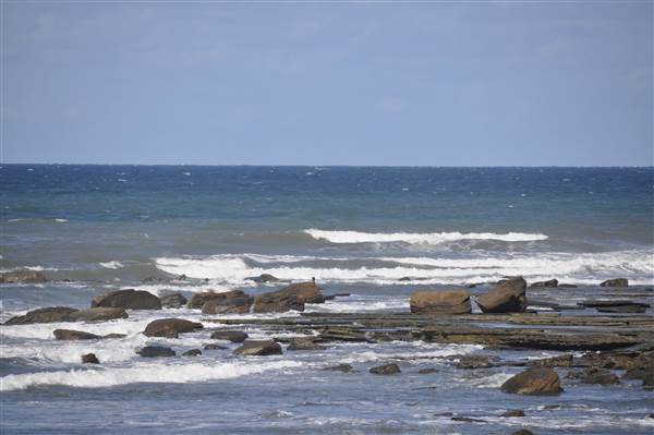 Moffat Beach (12/03/2015 - Credits: Angus Ledgerwood)