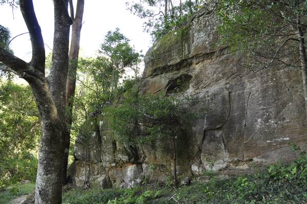 Natural Bridge - Springbrook National Park (30/04/2015 - Credits: Angus Ledgerwood)