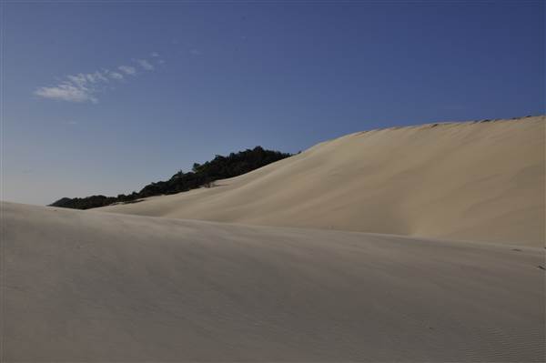 Mulgumpin (Moreton Island) - Big Sand Hills (11/04/2015 - Credits: Angus Ledgerwood)