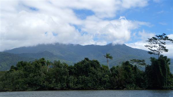 Mulgrave River (Cairns Region) (25/06/2015)