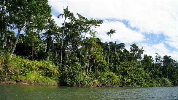 Mulgrave River (Cairns Region) (25/06/2015)