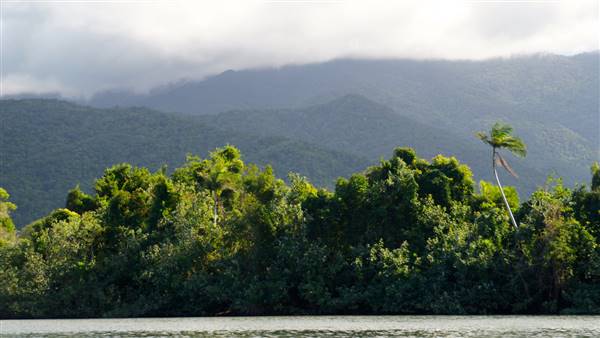 Mulgrave River (Cairns Region) (25/06/2015)