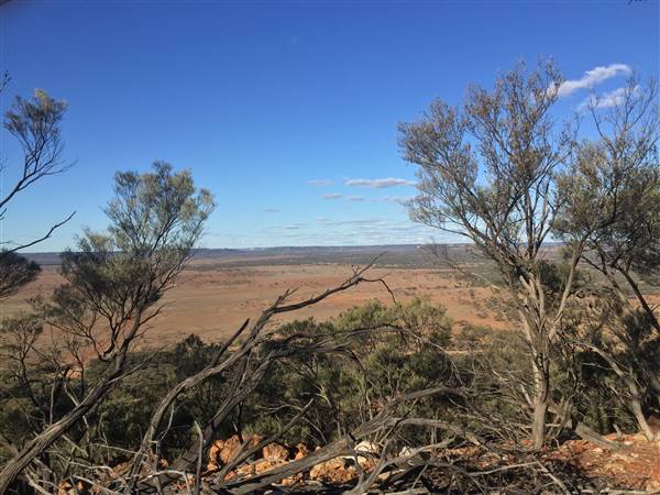 Longreach - Mount Slowcombe (22/07/2015 - Credits: Neil McGregor)