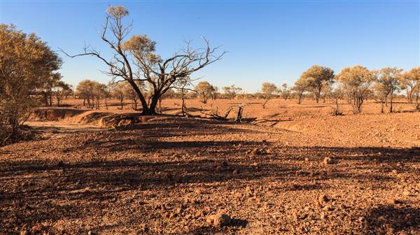 Age Of Dinosaurs (Rangelands) (22/07/2015)