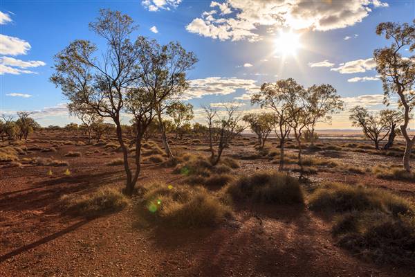 Age Of Dinosaurs (Rangelands) (22/07/2015)