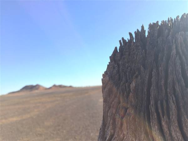 Lark Quarry Back Fence (24/07/2015 - Credits: Neil McGregor)