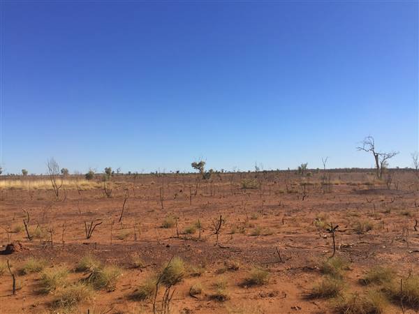 Winton-Jundah Road (24/07/2015 - Credits: Neil McGregor)