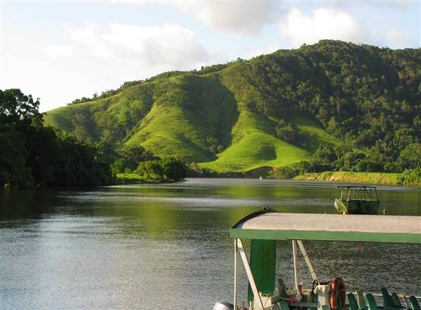 Daintree River (16/11/2015)