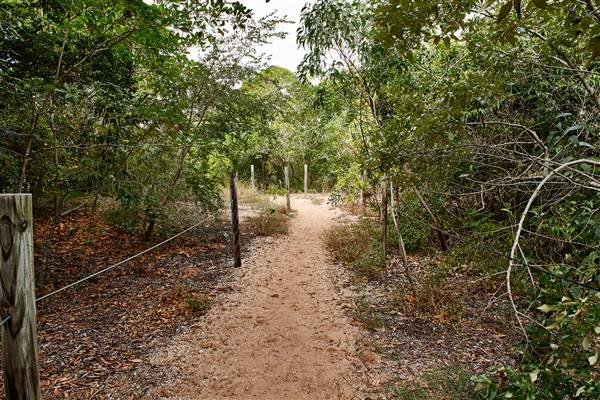 Townsville Region - Toomulla Beach (25/11/2016 - Credits: John De Rooy)