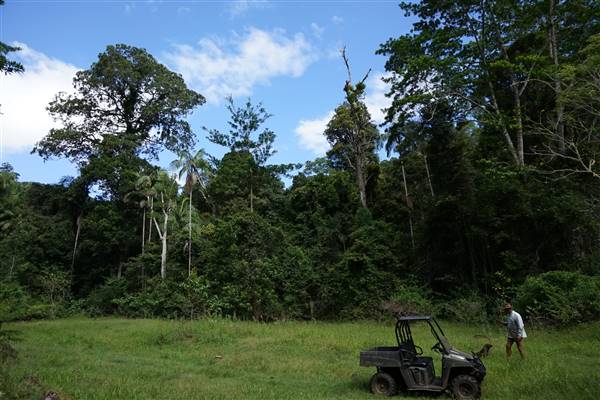 Hinterland Jungle Backlot (10/02/2017 - Credits: Neil McGregor)