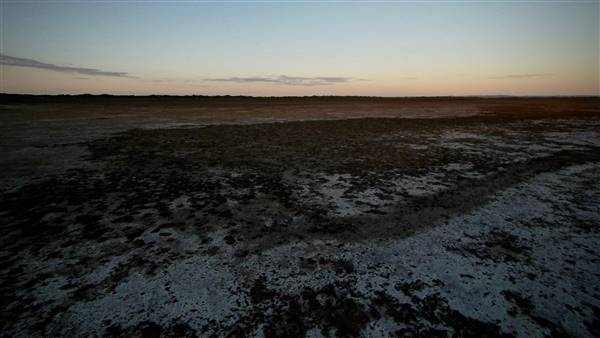Geoff Skinner Wetlands (20/04/2017 - Credits: Neil McGregor)