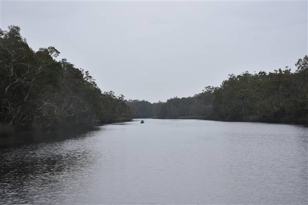 Harrys Hut Area (Noosa Everglades) (13/07/2017 - Credits: Kathryn Metcalfe)