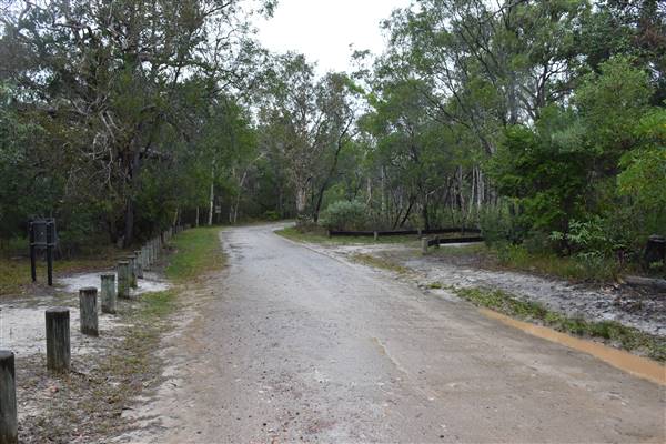 Harrys Hut Area (Noosa Everglades) (7/07/2017 - Credits: Kathryn Metcalfe)