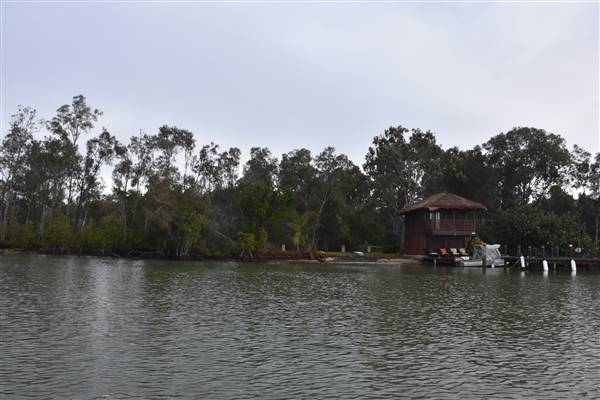 Noosa Everglades - Makepeace Island (13/07/2017 - Credits: Kathryn Metcalfe)