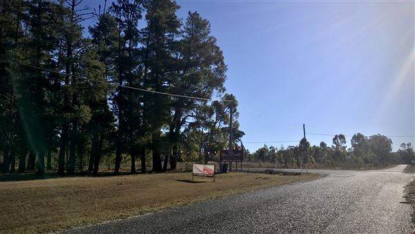 Warwick Region - Mountview Wines (9/07/2018 - Credits: Neil McGregor)