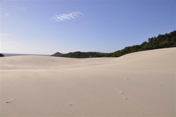 Mulgumpin (Moreton Island) - Big Sand Hills (11/04/2015 - Credits: Angus Ledgerwood)