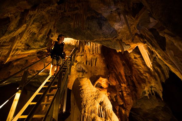 Chillagoe Caves - Donna Cave (1/11/2019 - Credits: Tourism Tropical North Queensland)