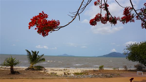 Cardwell - Coastline & Jetty (21/11/2019 - Credits: © Karen Jones)