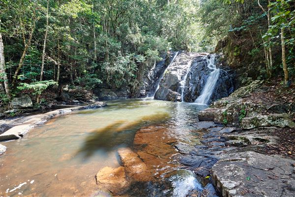 Mount Hypipamee National Park (10/02/2020 - Credits: John de Rooy, Atherton Tableland Photography)
