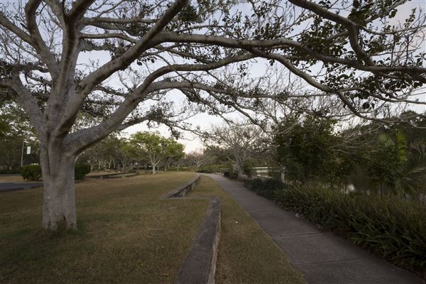 Spring Lake Park (11/05/2020 - Credits: Ipswich City Council)