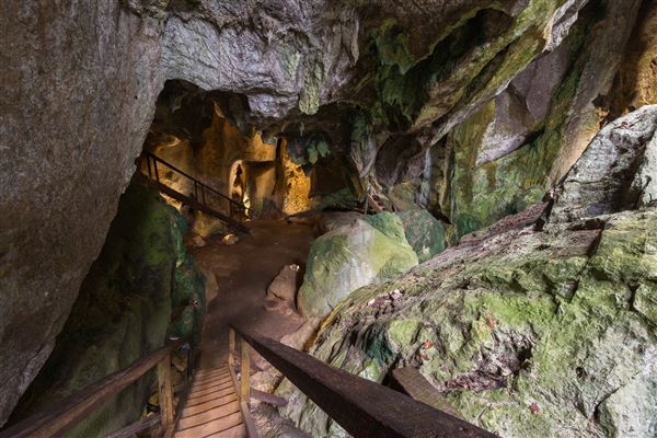 Capricorn Caves (1/07/2020 - Credits: Capricorn Caves)