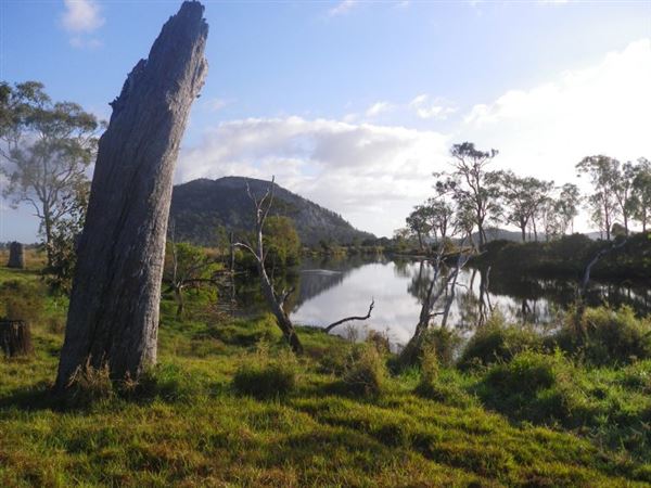 Meandering Creek & Lush Wetlands - Hedlow Creek (27/05/2013 - Credits: Landangler's Blog)