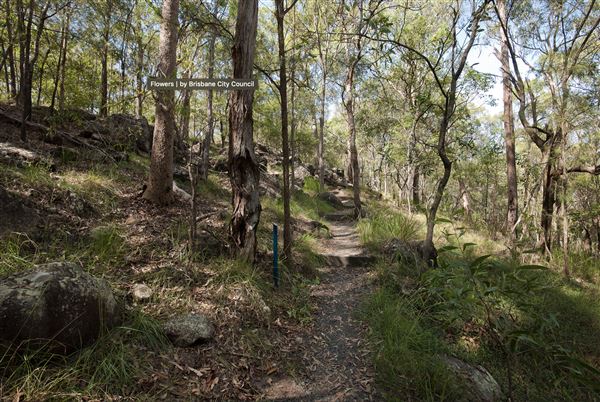 Toohey Forest Park (incl. Mount Gravatt Outlook Reserve) - Overview - Image Sourced - Do Not Make Public (10/12/2020)