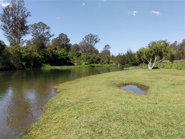 Parkland on the River - Colleges Crossing Recreation Reserve (20/09/2021 - Credits: Kathryn Metcalfe)