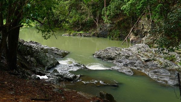 Currumbin Rock Pools (8/07/2019)