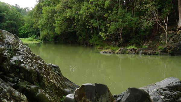 Currumbin Rock Pools (8/07/2019)