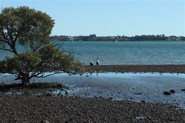 Cleveland Point (8/05/2023 - Credits: Screen Queensland)