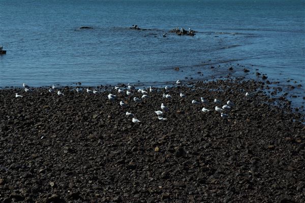 Cleveland Point (8/05/2023 - Credits: Screen Queensland)