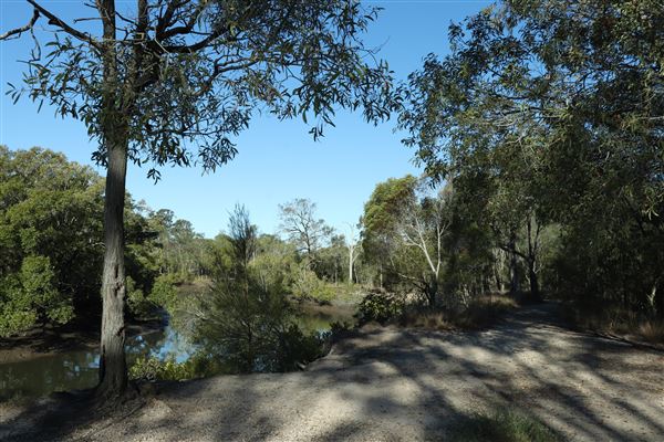 Epapah Creek - Karl's Pier track (8/05/2023 - Credits: Screen Queensland)