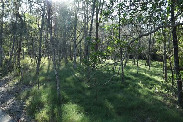Epapah Creek - Karl's Pier track (8/05/2023 - Credits: Screen Queensland)