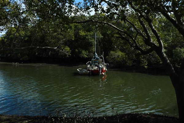 Curlew Park - Cabbage Tree Creek (11/05/2023 - Credits: Screen Queensland)