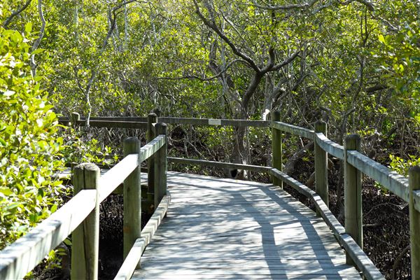 Nudgee Beach Wetlands Reserve (11/05/2023 - Credits: Screen Queensland)
