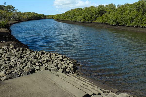 Nudgee Beach Wetlands Reserve (11/05/2023 - Credits: Screen Queensland)