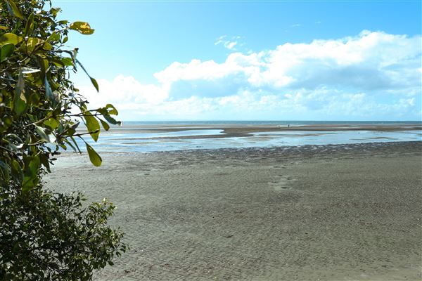 Nudgee Beach (11/05/2023 - Credits: Screen Queensland)