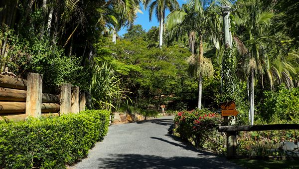 Rainforest Gardens (15/06/2023 - Credits: Screen Queensland)