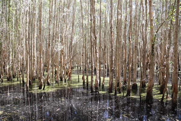Gold Coast - Coombabah Lakelands (16/11/2022 - Credits: Duncan Jones)