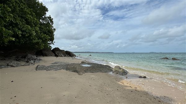 Garners Beach (26/11/2023 - Credits: Karen Jones / Tom Hoffie)