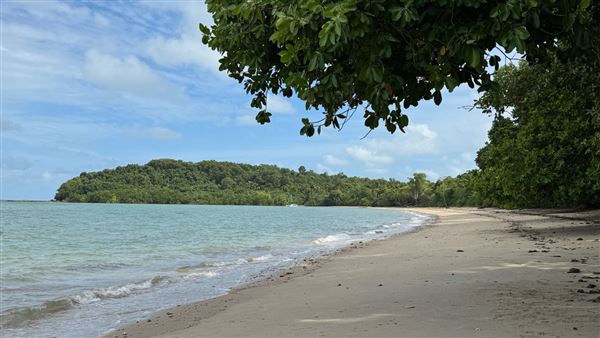 Garners Beach (26/11/2023 - Credits: Karen Jones / Tom Hoffie)