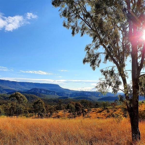 Sandstone Park Carnarvon Gorge (23/03/2025 - Credits: submitted by: Melanie Wheatley)