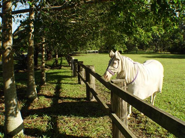 Currumbin Creek Road (23/08/2007)