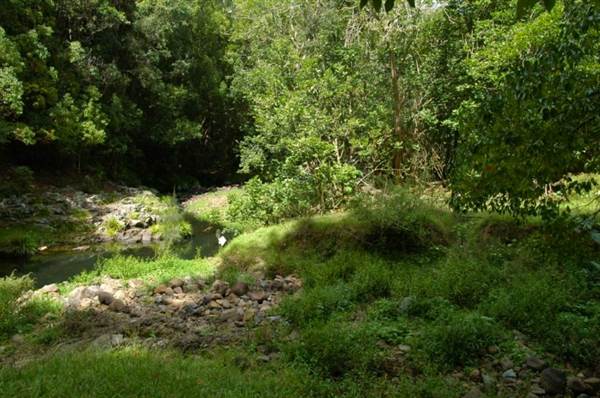 Currumbin Rock Pools (30/01/2008)