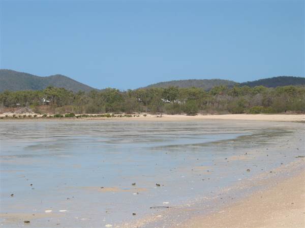 Dingo Beach (1/10/2007)
