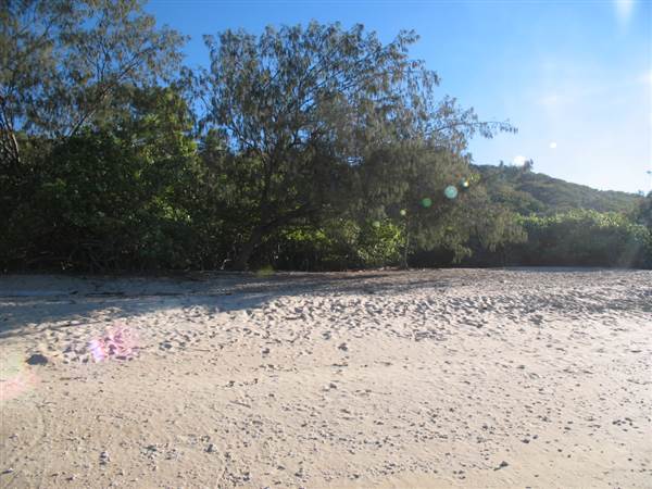 Florence Bay (Magnetic Island) (12/10/2007)