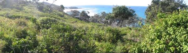 Frenchman's Bay (North Stradbroke Island) (17/01/2008)