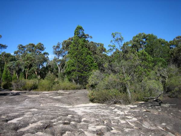 Warwick Region - Girraween National Park (25/09/2006)