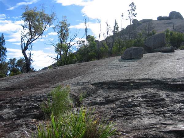 Warwick Region - Girraween National Park (25/09/2006)